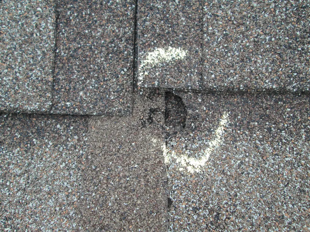 Hail impacts circled in chalk on asphalt shingles