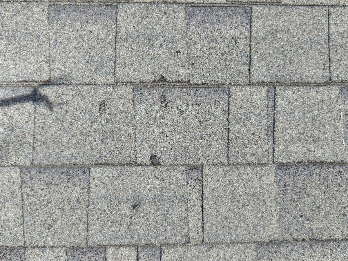 Close-up of weathered asphalt shingles with hail impact marks